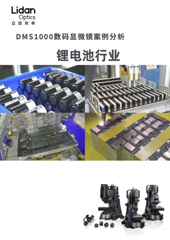 DMS应用案例-锂电池行业